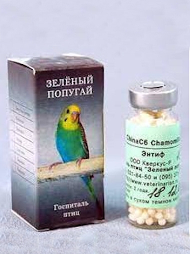 Энтифъ